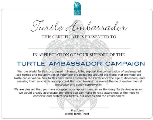 Turtle Ambassador Certificate