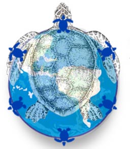 Sea turtle with globe