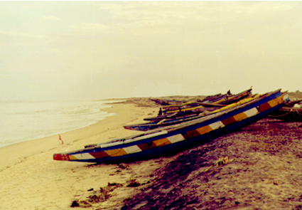 Orissa Beach