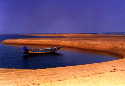 Nesting beach in Rushikulya