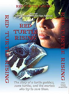 Red Turtle Rising DVD front cover