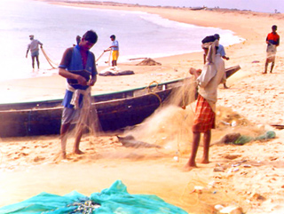 Traditional fishermen at Orissa Beach