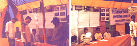 Sea Turtle Protection Committee educational exhibition